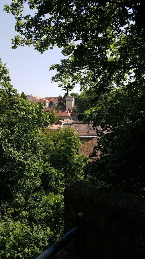 Downtown Beauty Apartment Zagreb Dış mekan fotoğraf
